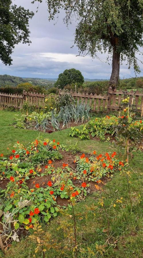 Bed and Breakfast Aux Capucines Theux Esterno foto